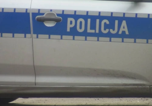 Coraz więcej legalnej broni palnej jest w obiegu. NIK ma obiekcje wobec procedur w policji