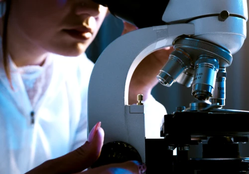 Projekt NanOX 4 Kidney wchodzi w kolejny etap rozwoju przedklinicznego