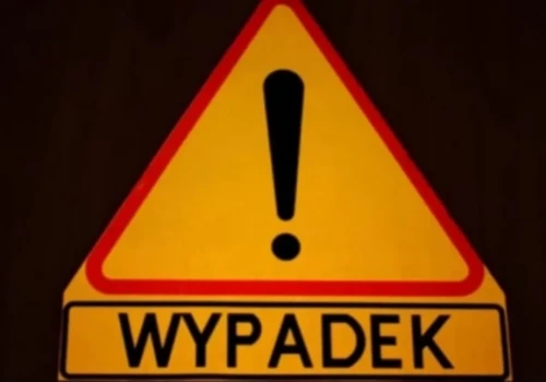 Dzik nagle wbiegł na drogę krajową. Groźne zdarzenie drogowe w Pęchcinie koło Ciechanowa