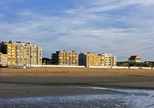 Dziesiątki rekinów na europejskiej plaży. Ekspertka wskazuje powód