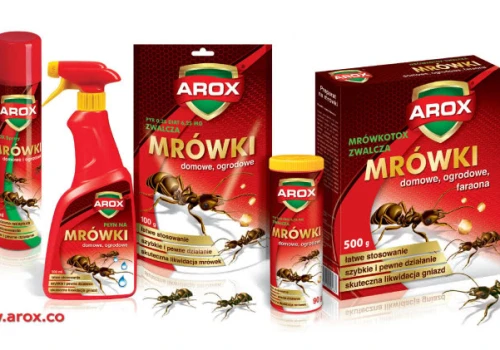 Jak skutecznie radzić sobie z mrówkami? Sprawdzone preparaty