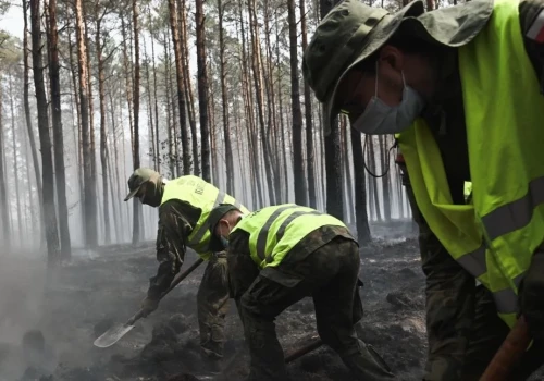 Terytorialsi z Siedlec ruszyli do walki z pożarami. W akcji blisko 100 żołnierzy
