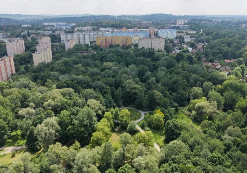 Ten park w Krakowie bardziej przypomina las niż miejski skwer. Zdjęcia z lotu ptaka