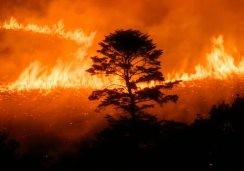 Pacyfik grzeje się o 6°C powyżej normy. Uderzenie El Niño spowoduje chaos