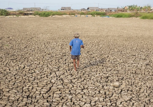 El Nino w 2026 roku pobije rekordy? Czego spodziewać się w Europie?