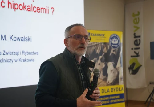 Jedna krowa zalega, nawet 10 może chorować. Ekspert ostrzega rolników
