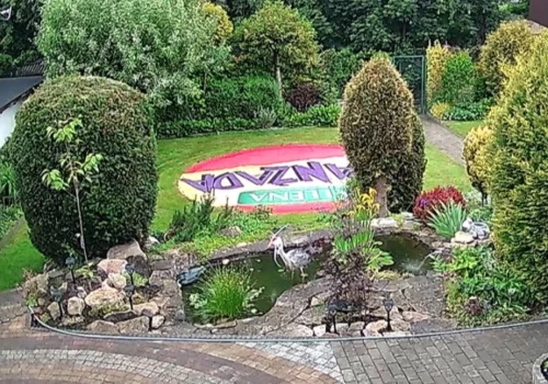 Z oczka wodnego na ogródkach działkowych w centrum Katowic czapla wyjadła wszystkie ryby