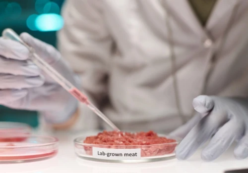 Stek z laboratorium bliżej rynku. Izrael obniża koszt mięsa hodowanego komórkowo
