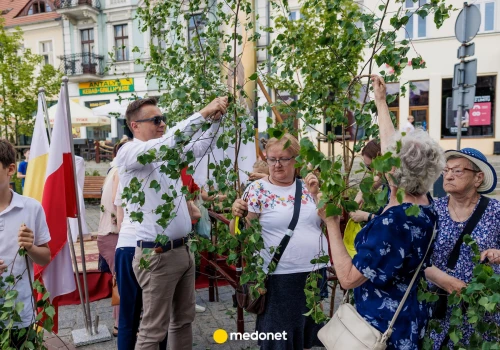 Gałązki brzozy w Boże Ciało trafiają do domów Polaków. W medycynie ludowej mają miejsce od dawna