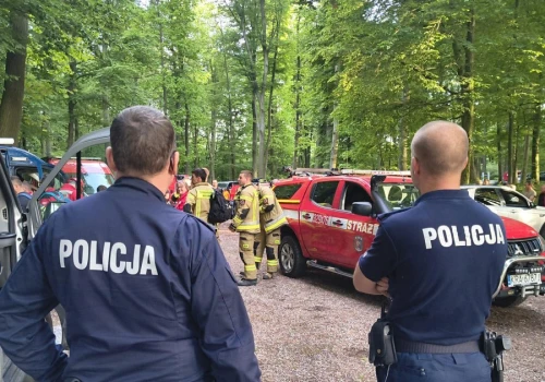 Nie żyje 12-letnia Ela. Ruszyło śledztwo: analizują jej telefon i komputer