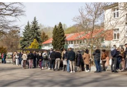 W Toruniu znów ustawią się kolejki. Wszystko dla psów ze schroniska