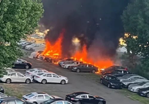 Spalił 20 samochodów elektrycznych. Alergia musiała być silna