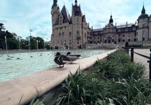 To jeden z najpiękniejszych zamków w Polsce. Można w nim nocować