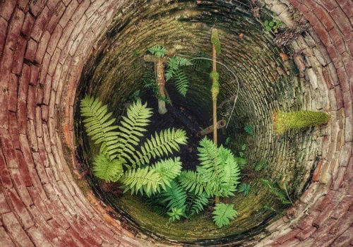 Susza hydrogeologiczna a wody podziemne. Czy grozi nam brak wody?