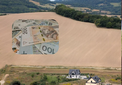 Ile kosztuje hektar najlepszej ziemi w Polsce? Ceny gruntów rolnych w 2026 roku zaskakują