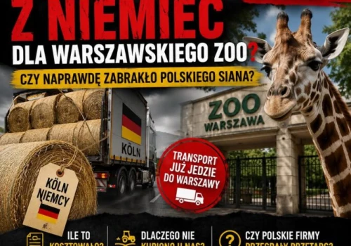 Operacja „Siano Grozy”. Trzaskowski odkrywa, że żyrafa nie żyje żurkiem