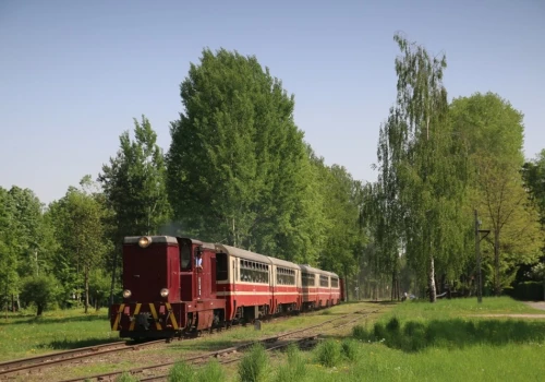 Piaseczyńska wąskotorówka: Nie ma decyzji w sprawie ruchu regularnego