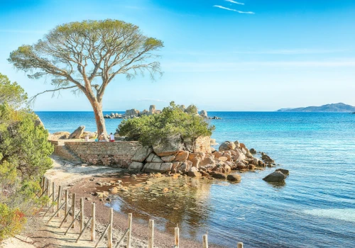 ✨Dwa różne oblicza Francji na wakacje 🌊⛰️ Lazurowe Wybrzeże i Korsyka za 714 PLN 😍✨