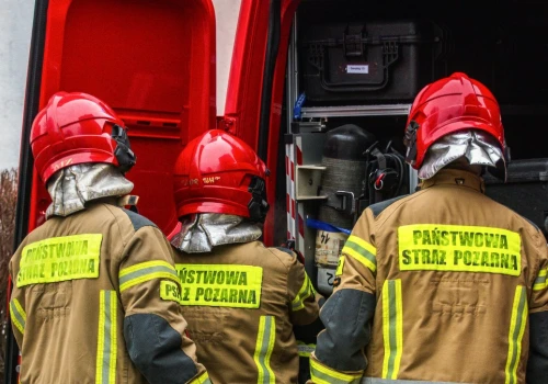Pożar domku letniskowego w okolicach Konina. Nie żyje jedna osoba