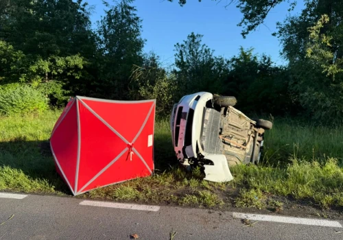 Śmiertelny wypadek koło Świdnicy po zderzeniu z dzikiem