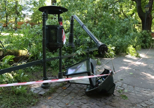 Niebezpieczne zdarzenie na Plantach. Konar spadł na ławkę i latarnię