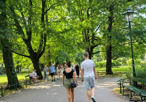 Kraków zapłaci 150 tys. zł za spacery wśród drzew