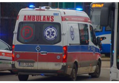 16-latek ukąszony przez żmiję lewantyńską. Chłopiec walczy o życie