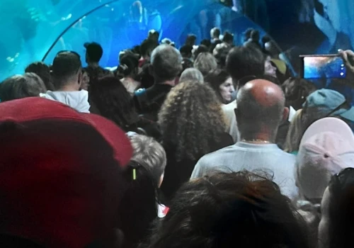 Rozdzieliła się z rodziną w zoo i utknęła w tunelu. Mamy nagranie