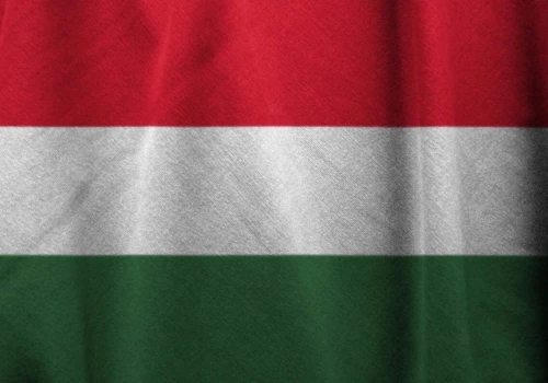 Węgry: Pierwsze ognisko ASF w hodowli świń. Kilka tysięcy zwierząt do utylizacji