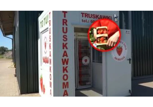 Szał na truskawki z automatu. "O 22:00 też kupują"