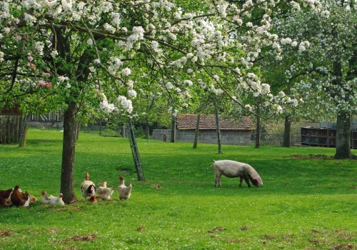 Koniec z fałszywą ekologią? Możesz mieć na to wpływ