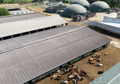 Ukraina idzie jak taran w biometan. Cel na 2030 robi wrażenie, a w tle gigantyczne pieniądze z EBI