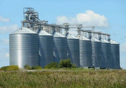 12.06.2026 Ceny skupu zbóż, kukurydzy, oleistych i strączkowych: bez niespodzianek