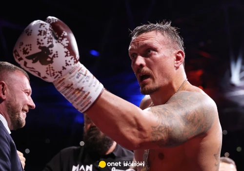 Jest ostateczny werdykt w sprawie walki Usyk - Verhoeven. Oto wynik