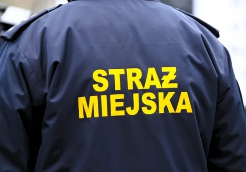 Weekend pełen interwencji. Straż Miejska w Częstochowie otrzymała aż 136 zgłoszeń!