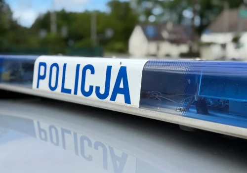 Owczarki niemieckie zaatakowały 9-latka. Ma obrażenia kończyn i głowy