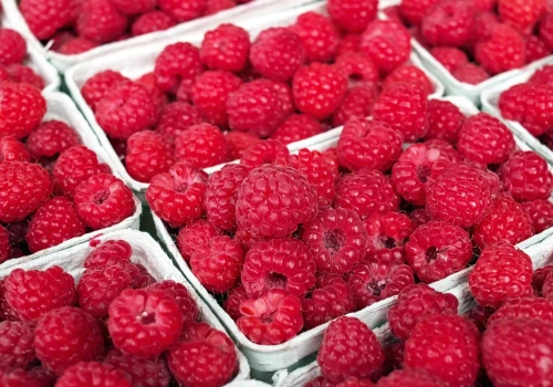 Polska jest malinową potęgą Europy. Mimo to import malin stale rośnie