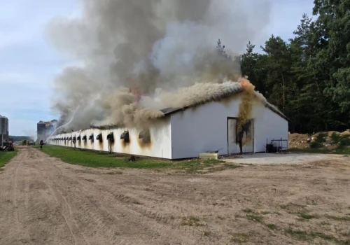 W Kobysewie płonie kurnik. Strażacy walczą z ogniem