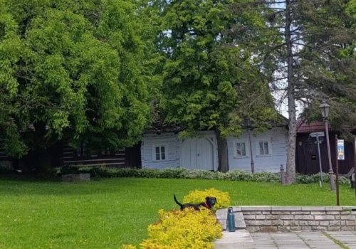 660 lat Lanckorony – święto wszystkich mieszkańców, a nie wybranych