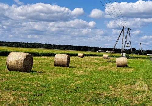 Za słupy na polu można dostać pieniądze. Izba daje gotowy wzór pisma