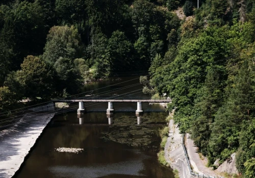 15 ton martwych ryb na Dolnym Śląsku. Jest reakcja władz województwa