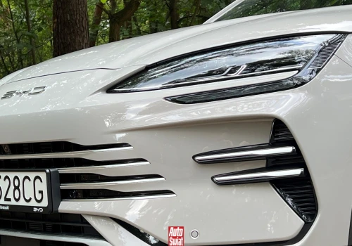 Fala przetasowań na polskim rynku. Fiat i BYD świętują, a pięć marek liże spore rany