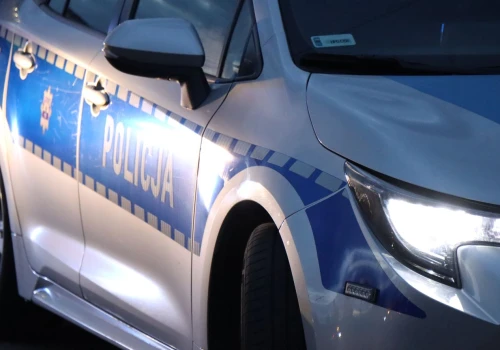 Kryminalni weszli do mieszkania 31-latka. Znaleźli marihuanę i mefedron