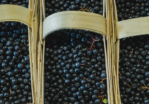 Myjesz tak jagody? Ten błąd sprawia, że mogą ci zaszkodzić