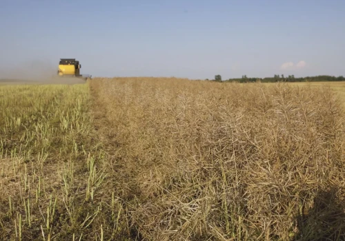 Sprzedaż ziemi rolnej pod lupą. Ten błąd może unieważnić całą transakcję