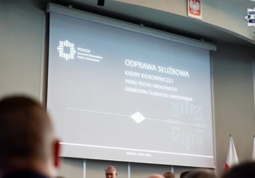 Śląskie drogi pod lupą policji. Są najnowsze dane o wypadkach