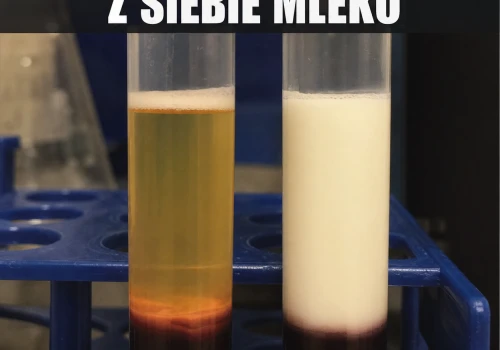Metabolizm odpalił mleczarnię w żyłach