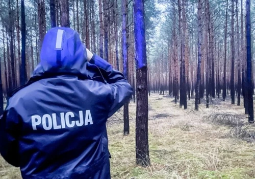Mężczyzna wyszedł na grzyby i nie wrócił. Trwa akcja poszukiwawcza