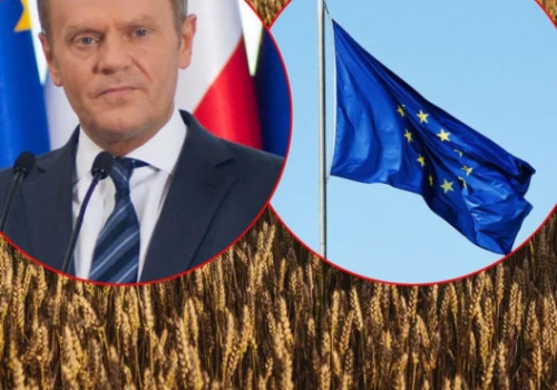Koniec embarga na zboże z Ukrainy? Nacisk KE na Polskę