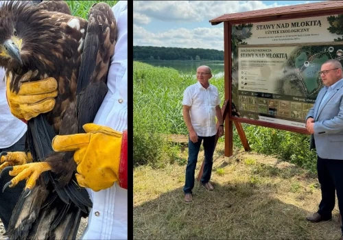 Fundacja Krzysztofa Strynkowskiego wzięła w zarząd Stawy nad Młokitą